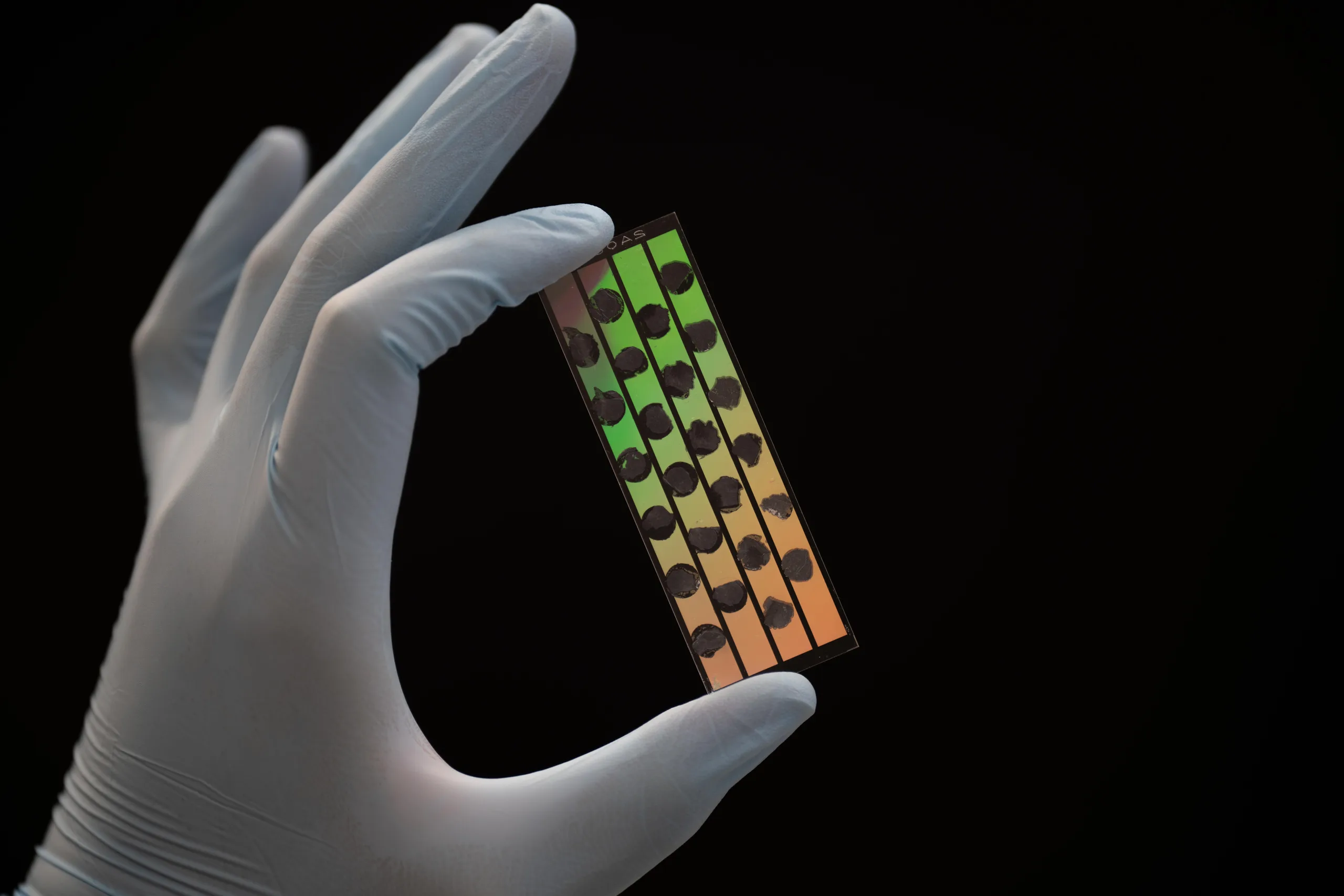 A flow cell with tissue sections, held in a gloved hand